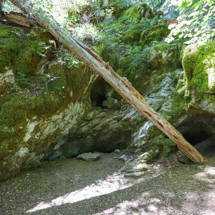 Near Cliff Nature Trail Near Cliff Nature Trail