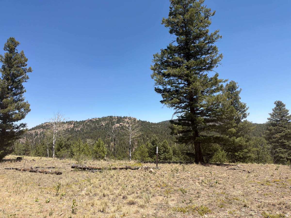 Great View Road - FS 245 photo 4