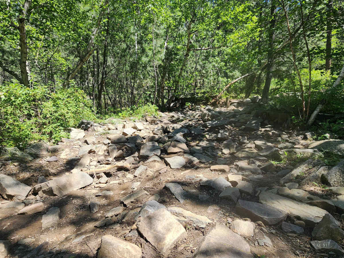 Jake Section 1 photo 5