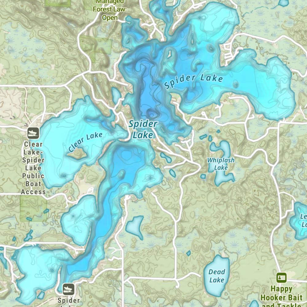 Spider Lake photo
