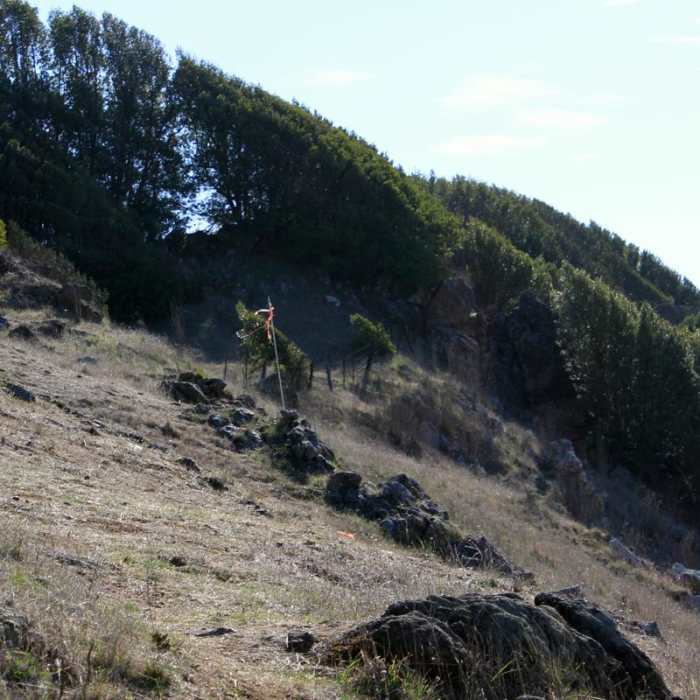 Near Blue Rock Springs Park