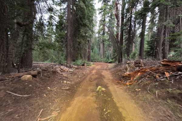 East Fork Chiquito Creek - FS 5S011