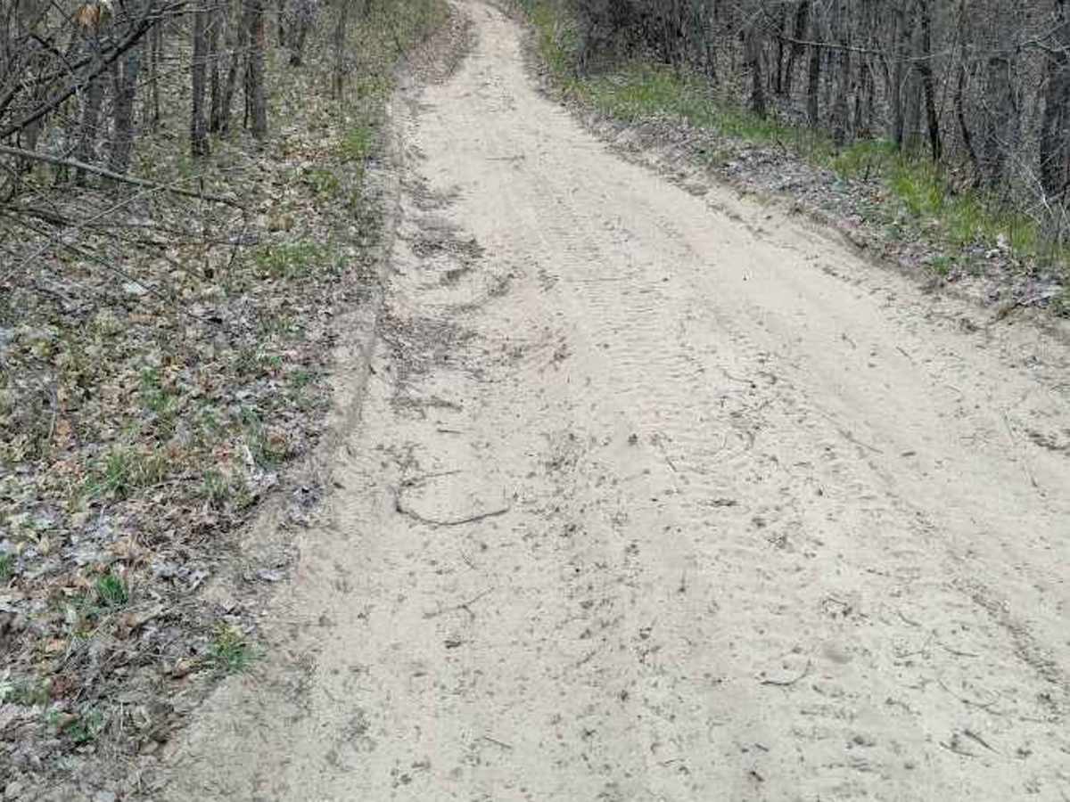 Loose Lane photo 4