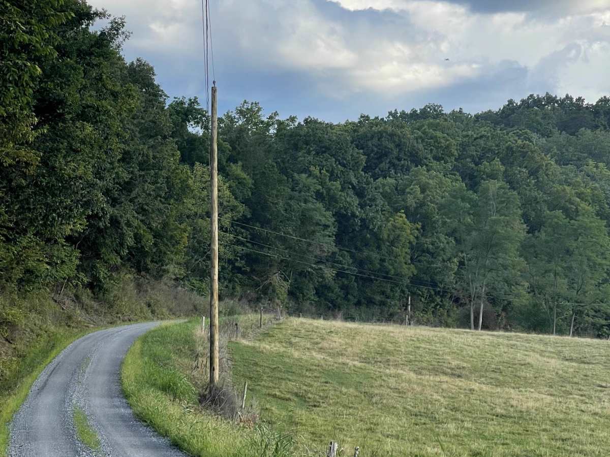 Hawthorne Hall trail photo