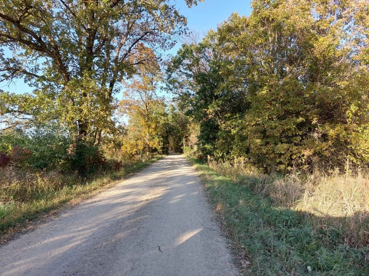White River Road photo 3