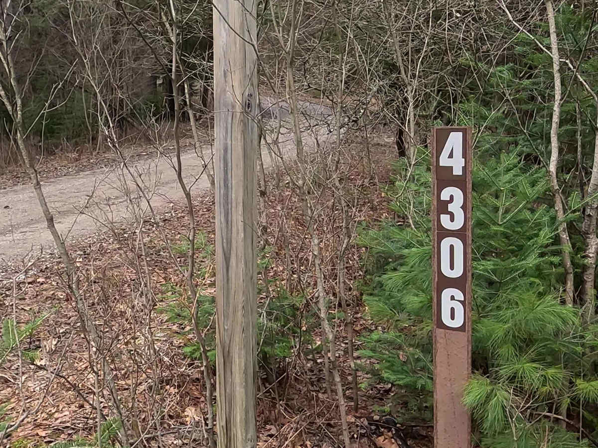 Wilcox Drive - FS 4093 trail photo