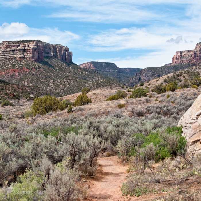Heading along No Throughfare Canyon, Colorado Nat. Monument. with permission from Peter B. Pearman Near Old Gordon Trail