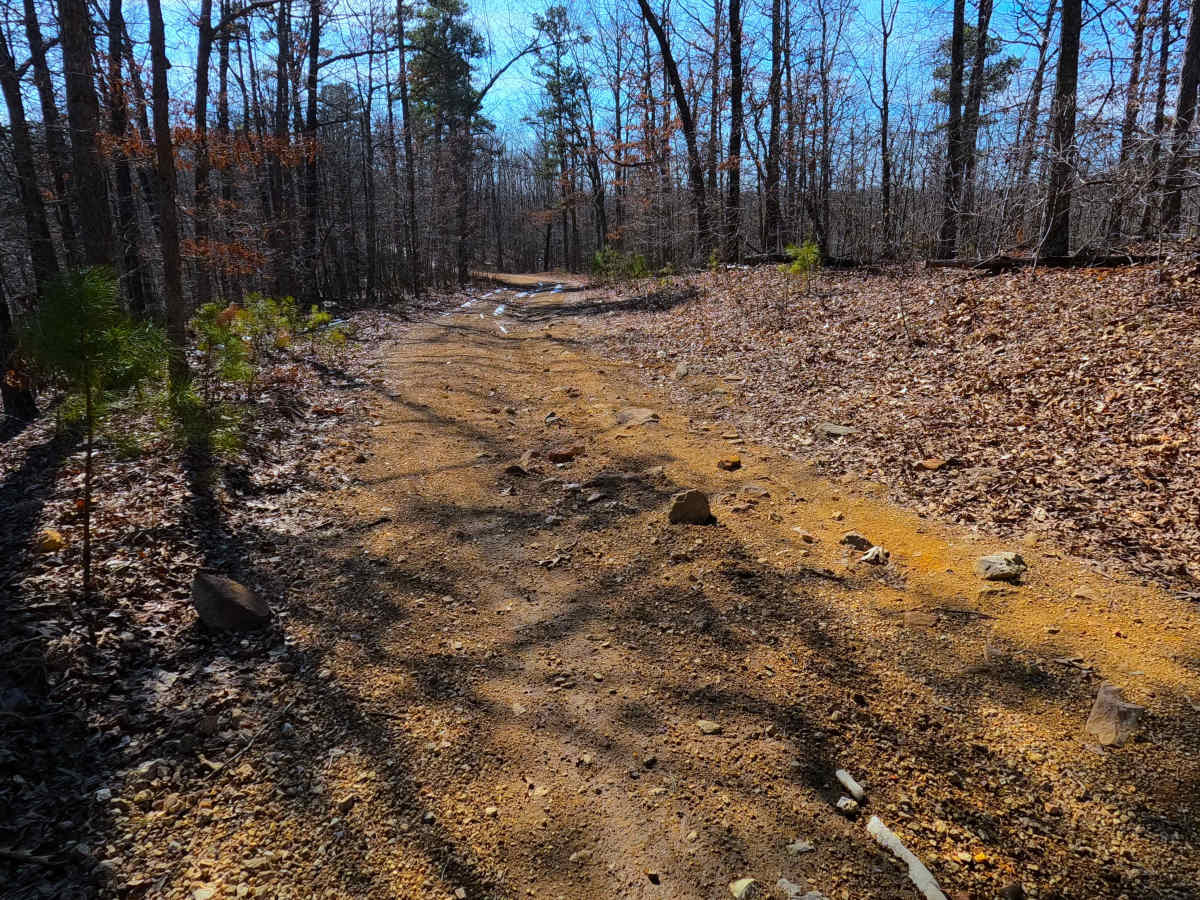 Upper Henderson - FS 2260 photo 5
