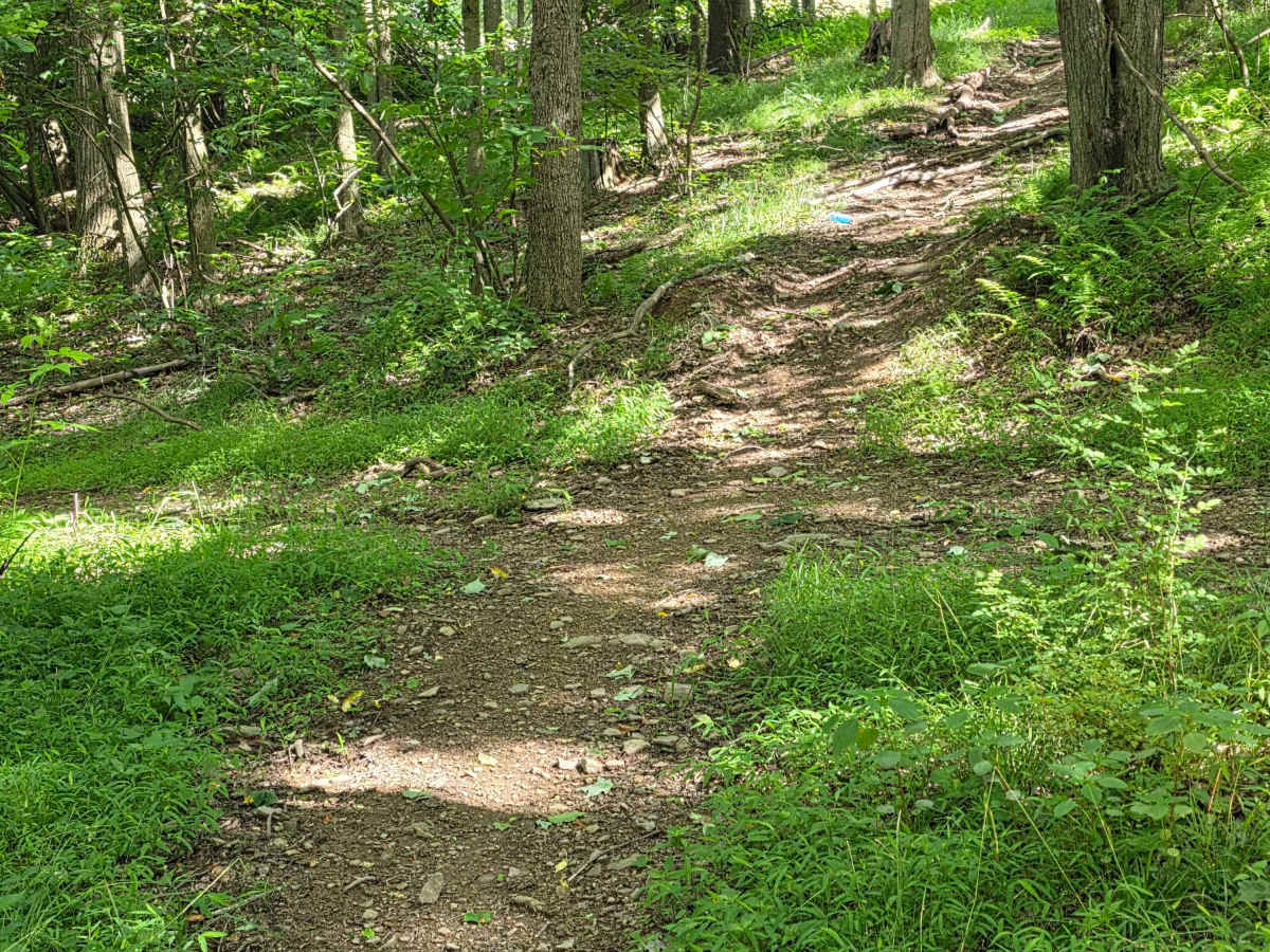 Single Track C photo 5