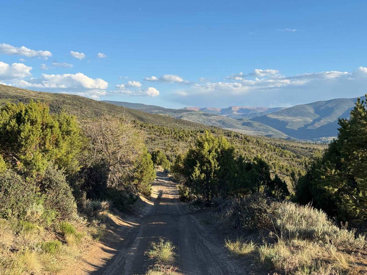 BLM 8410 photo 4