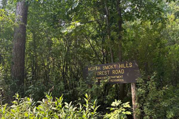 North Smokey Hills Forest Road