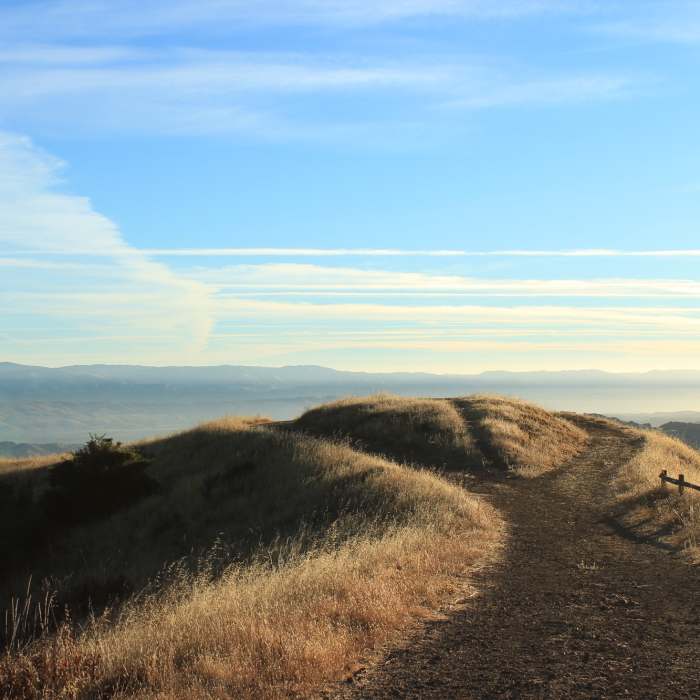 Near Bald Mountain Out and Back