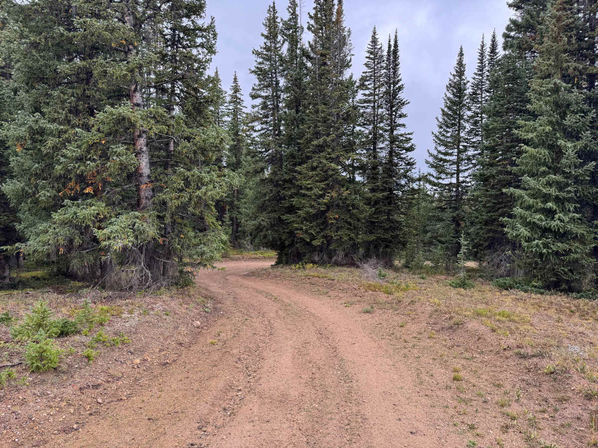 Porphyry Mountain Spur Road photo 2