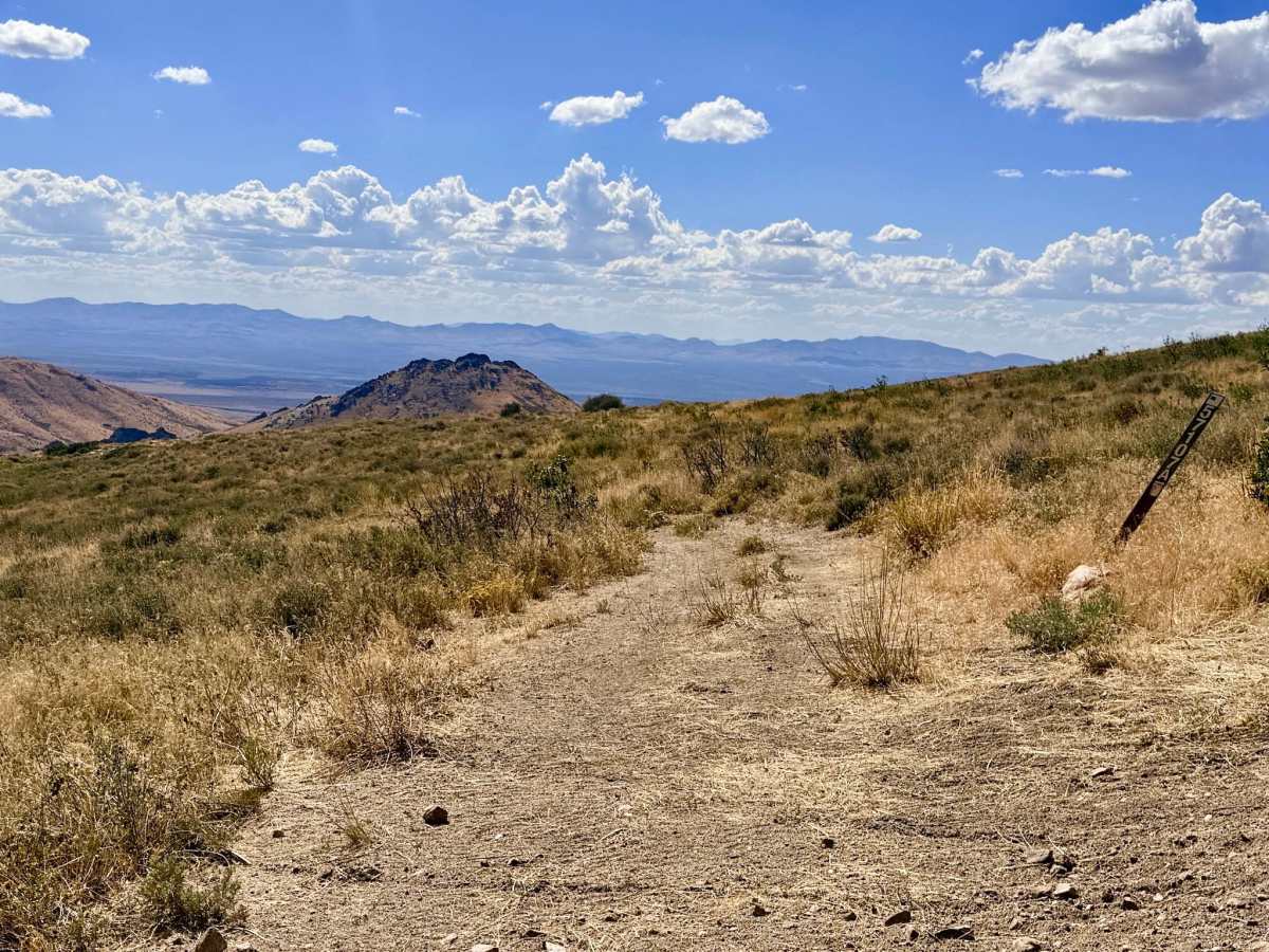  Arizona Spring - FS 57107A photo 4
