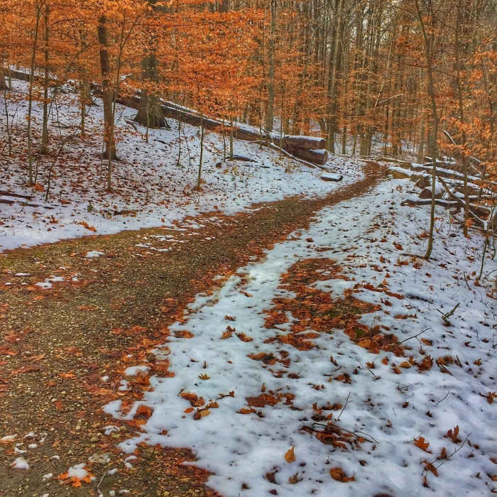 Near Soapstone-Santee-Ridge Loop