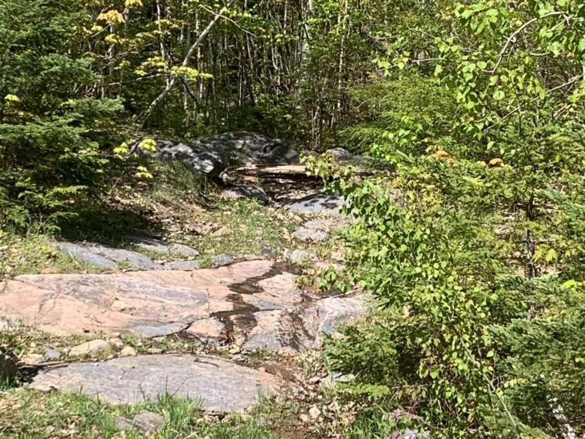Beaver Dam Run photo 2