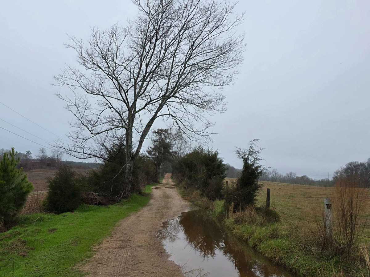 Pond Dam Road photo 5