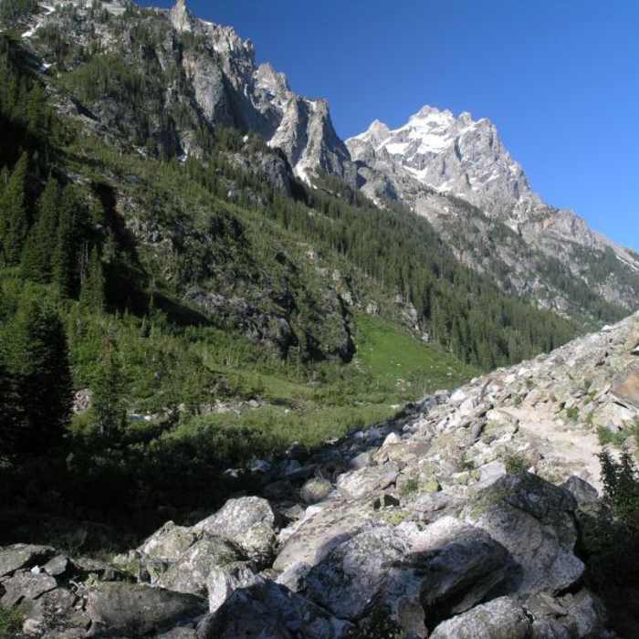 Near Cascade Canyon Trail