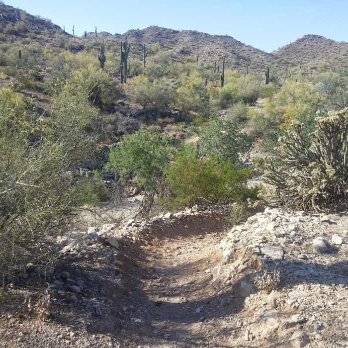 Near Rainbow Valley