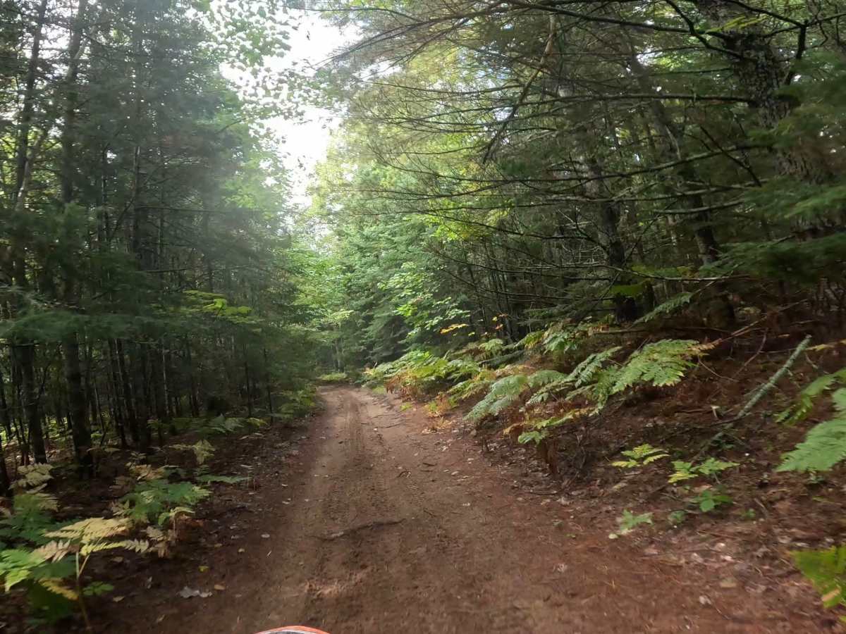 Two Hearted Trail  Connector photo 2