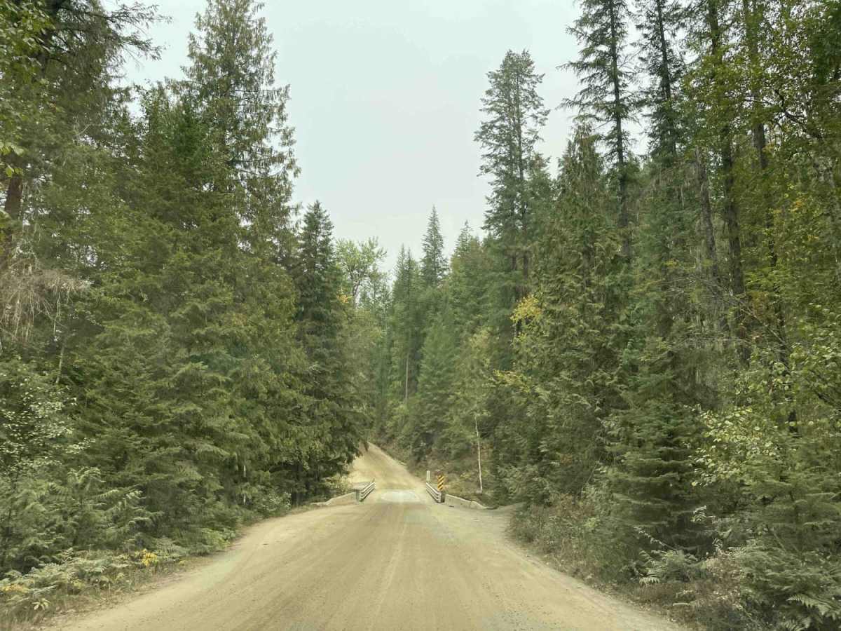 Whatshan Road trail photo