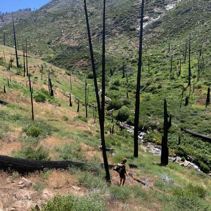 Near Golden Trout Wilderness Loop