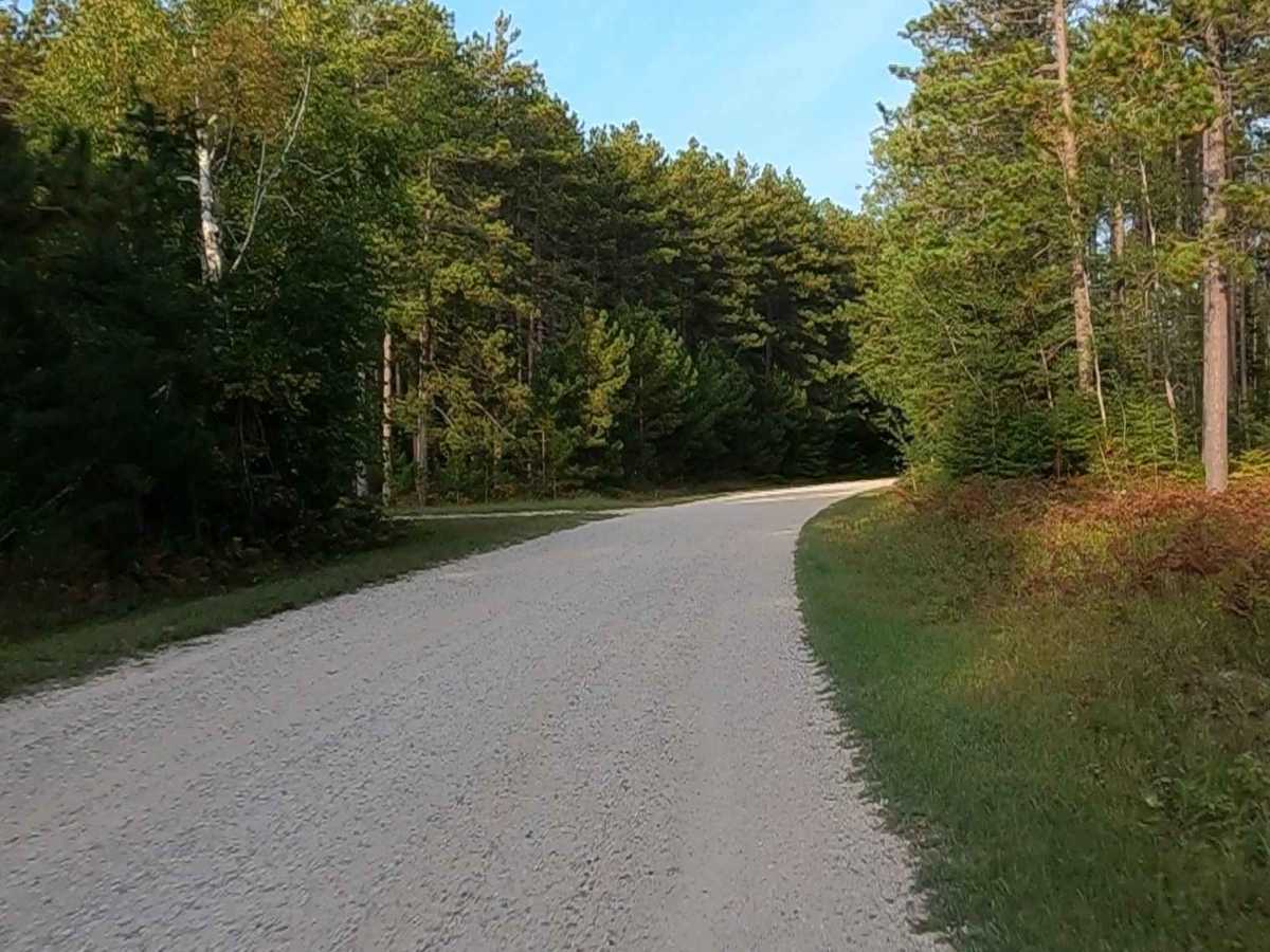 Burma Road - FS 3124-9385 (ORV Route A) photo 5