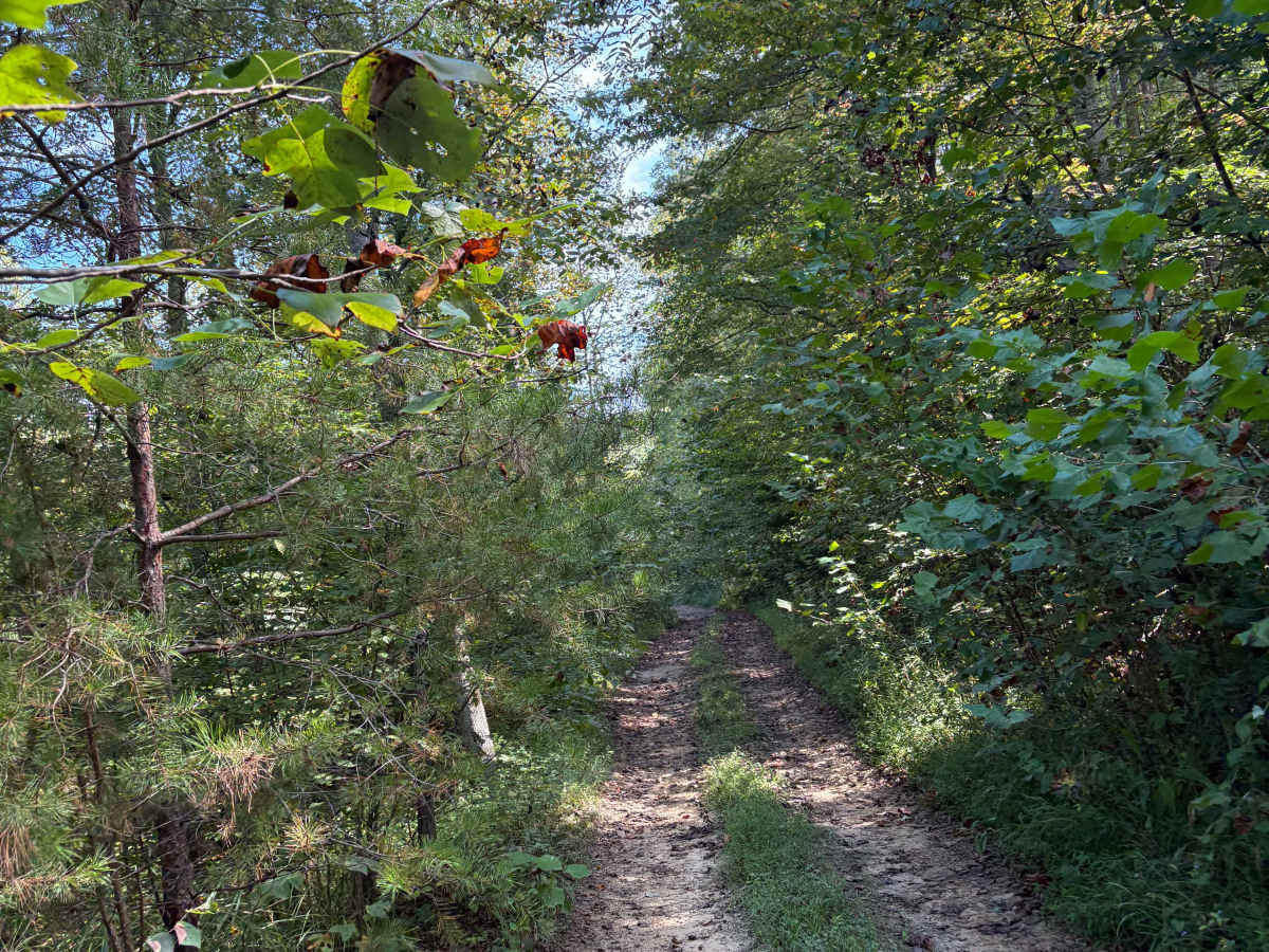 Trail 5 FFAT Boneyard photo 2