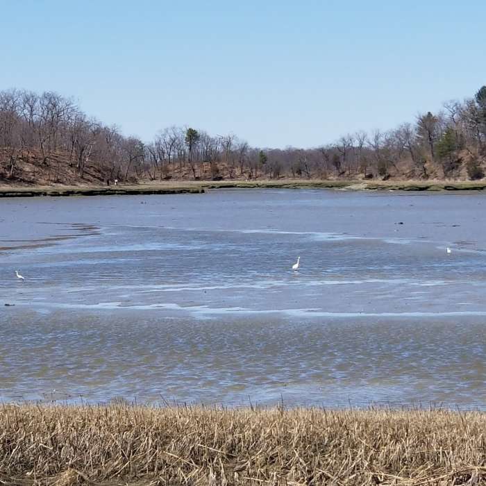 Near Weymouth Back River Trail