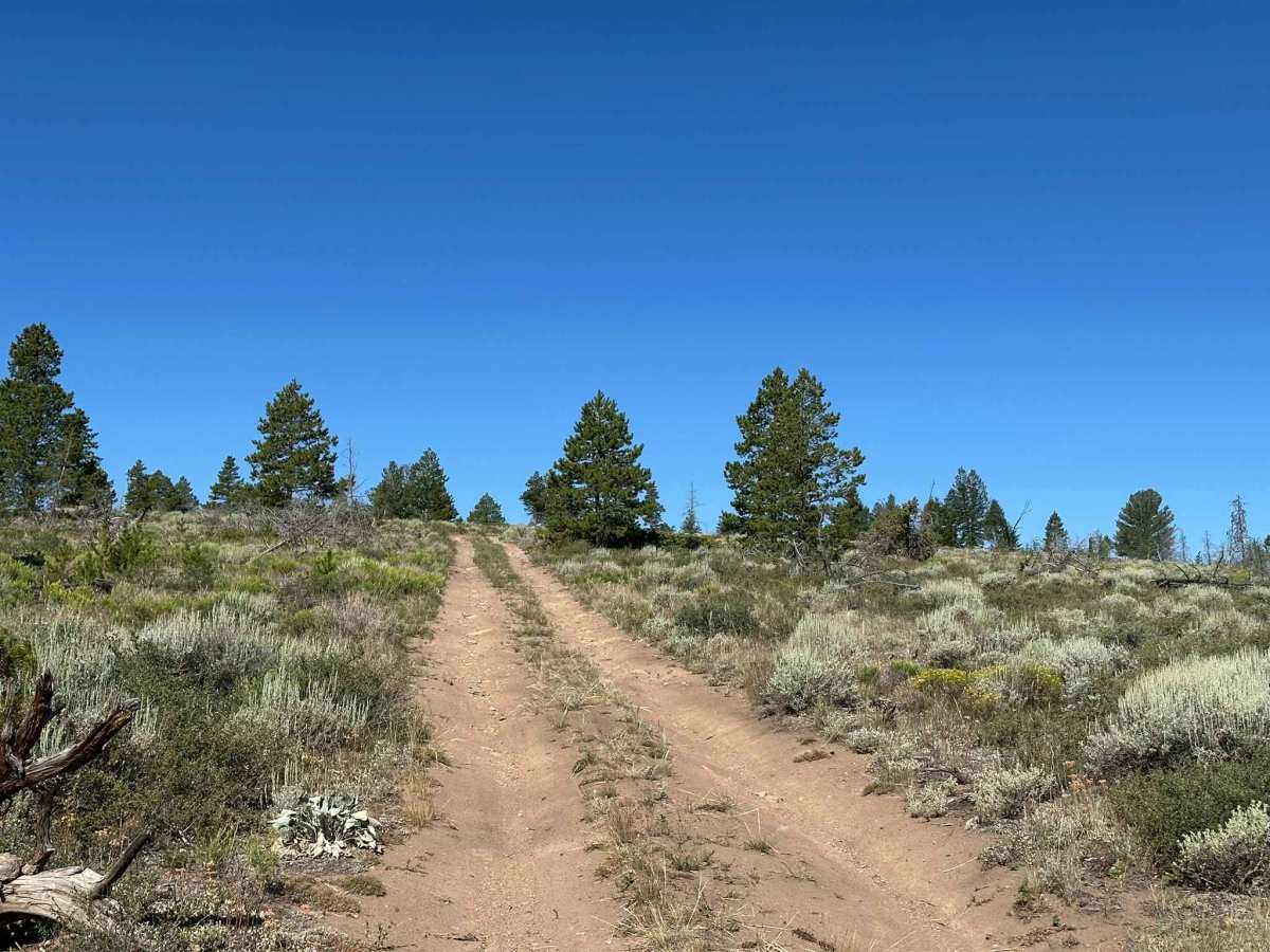 Tilted Mesa Road trail photo