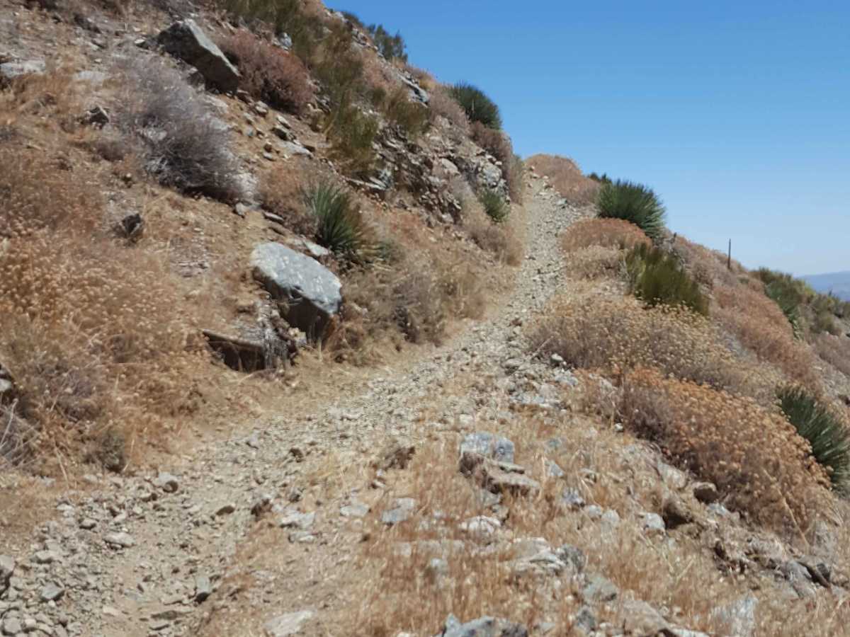 East Frazier Trail - FS 19W06 photo 4