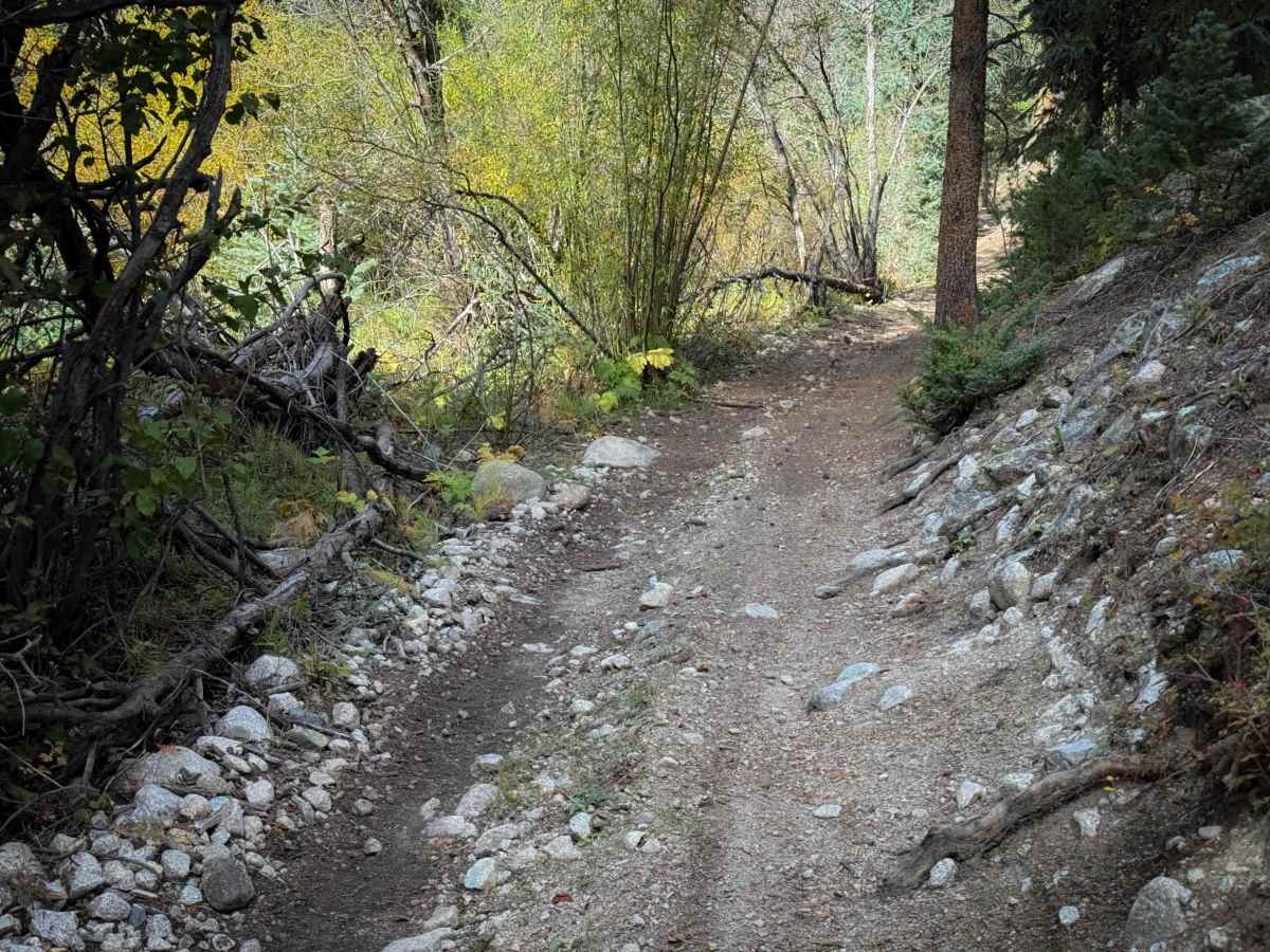 Middle Quartz Trail - FS 622  photo 4