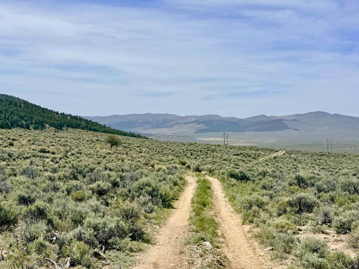 Streshley Springs FS42496 photo 6