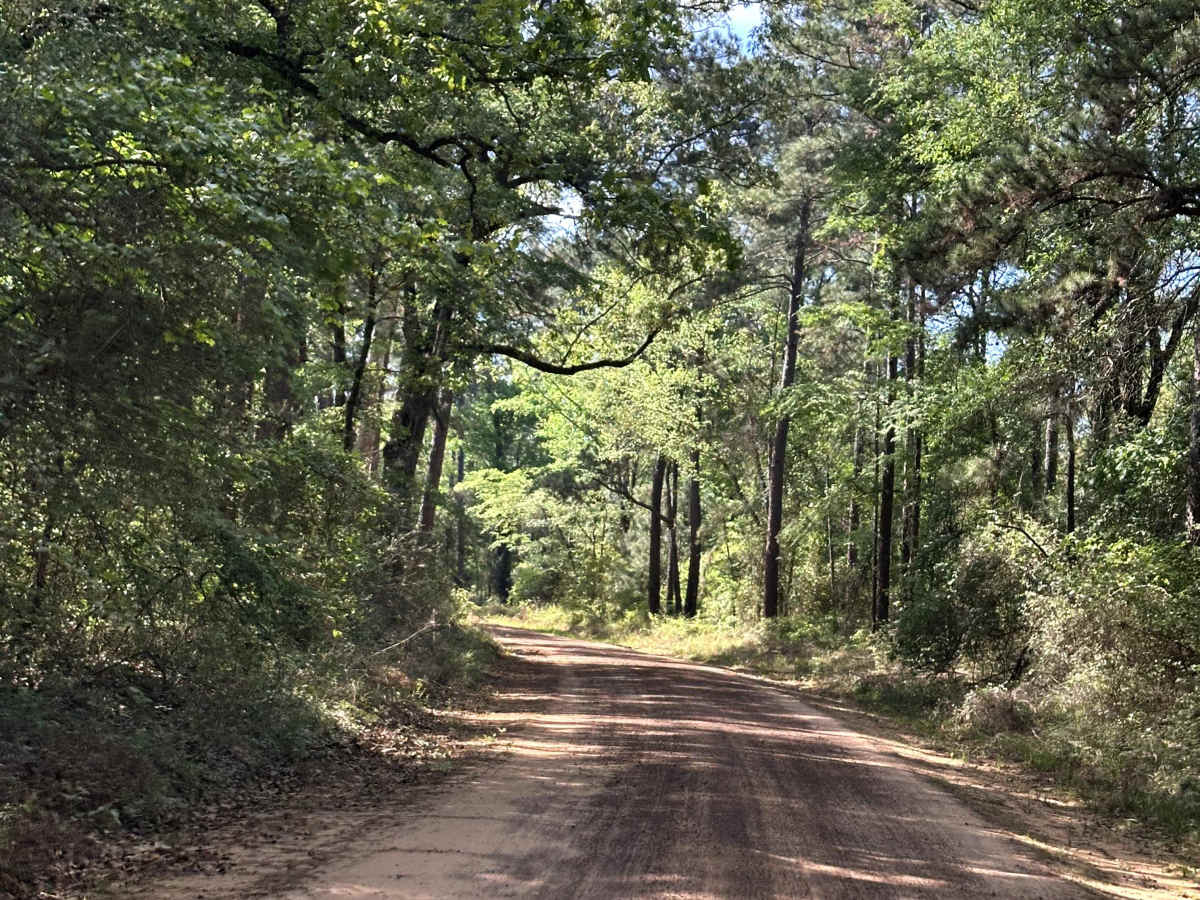 Bill Adams Fork photo 5
