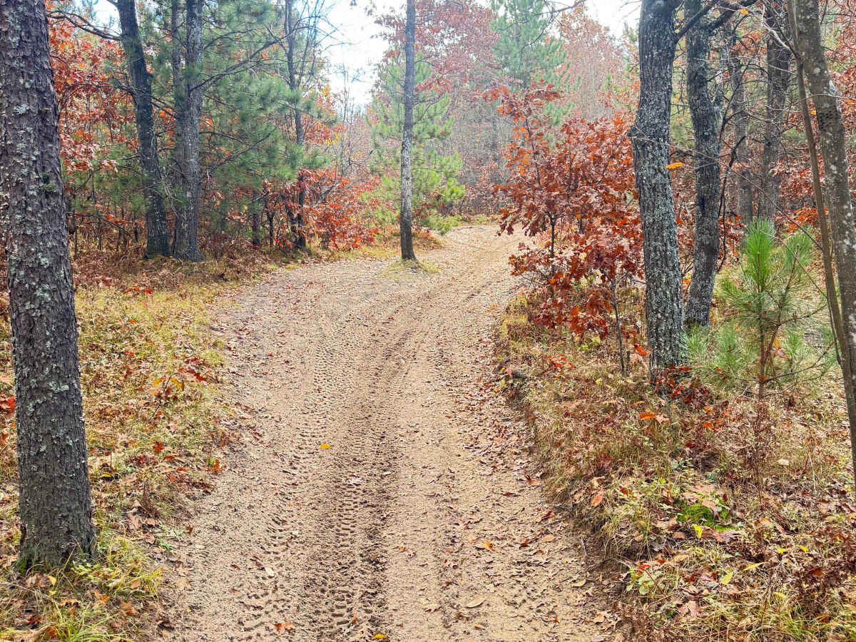Ambrose Lake to Rose City Trail photo 4