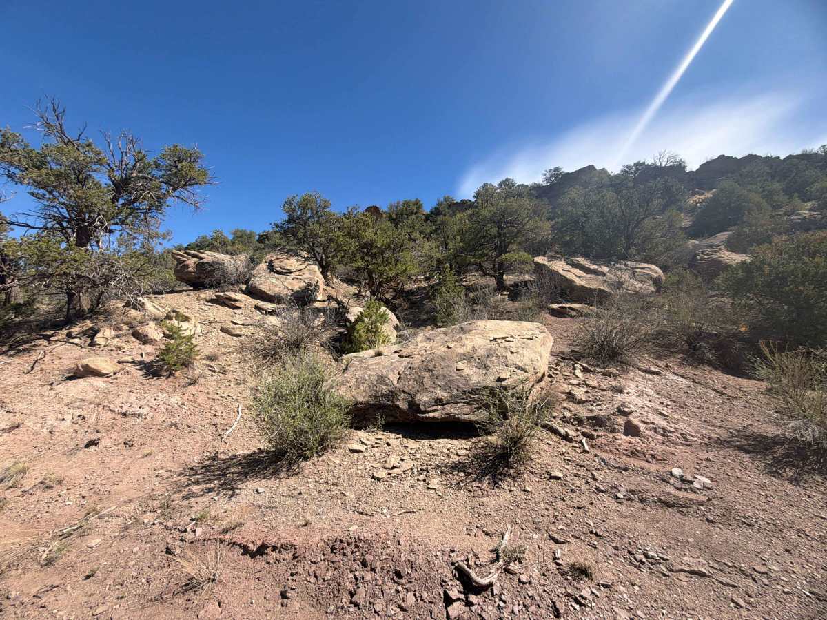 Sand Road - BLM 5980 photo 3