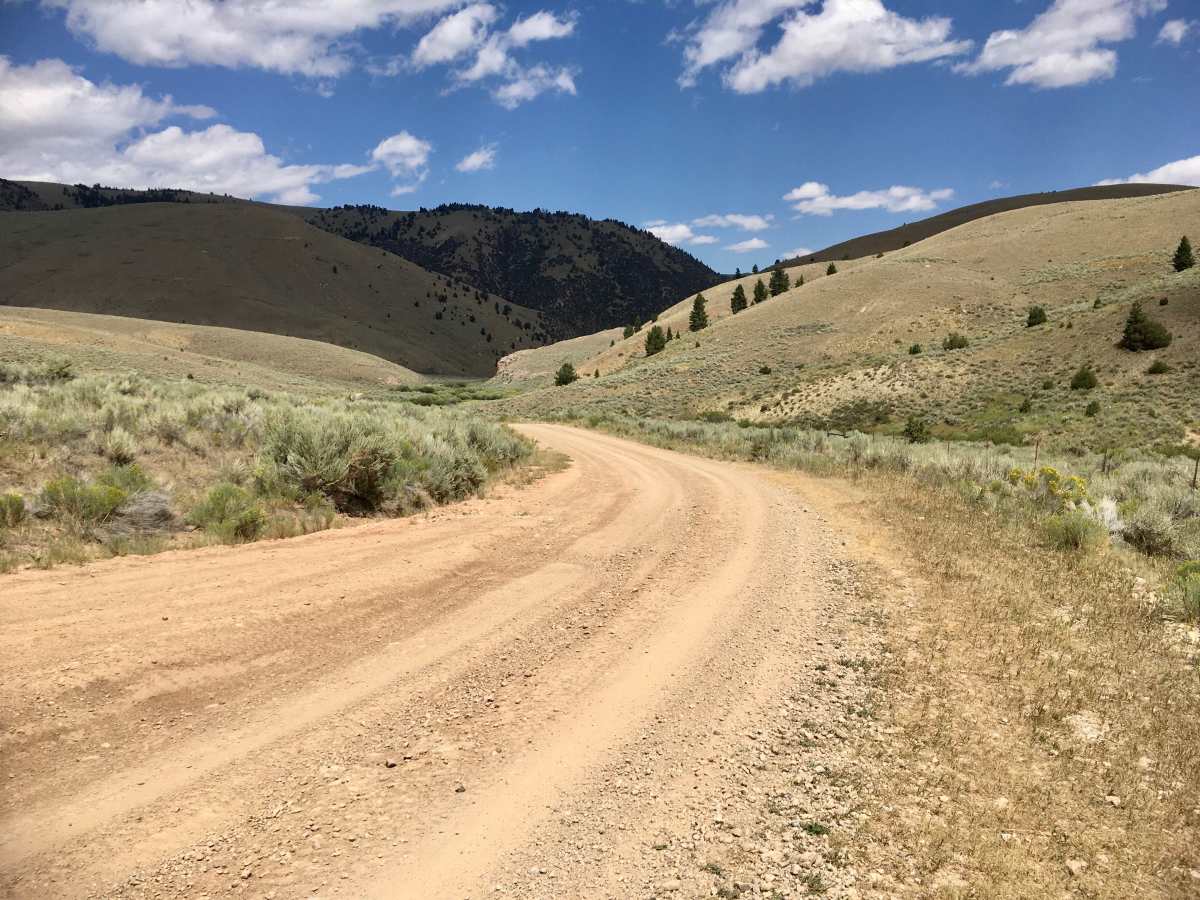 White Pine Ridge Route trail photo