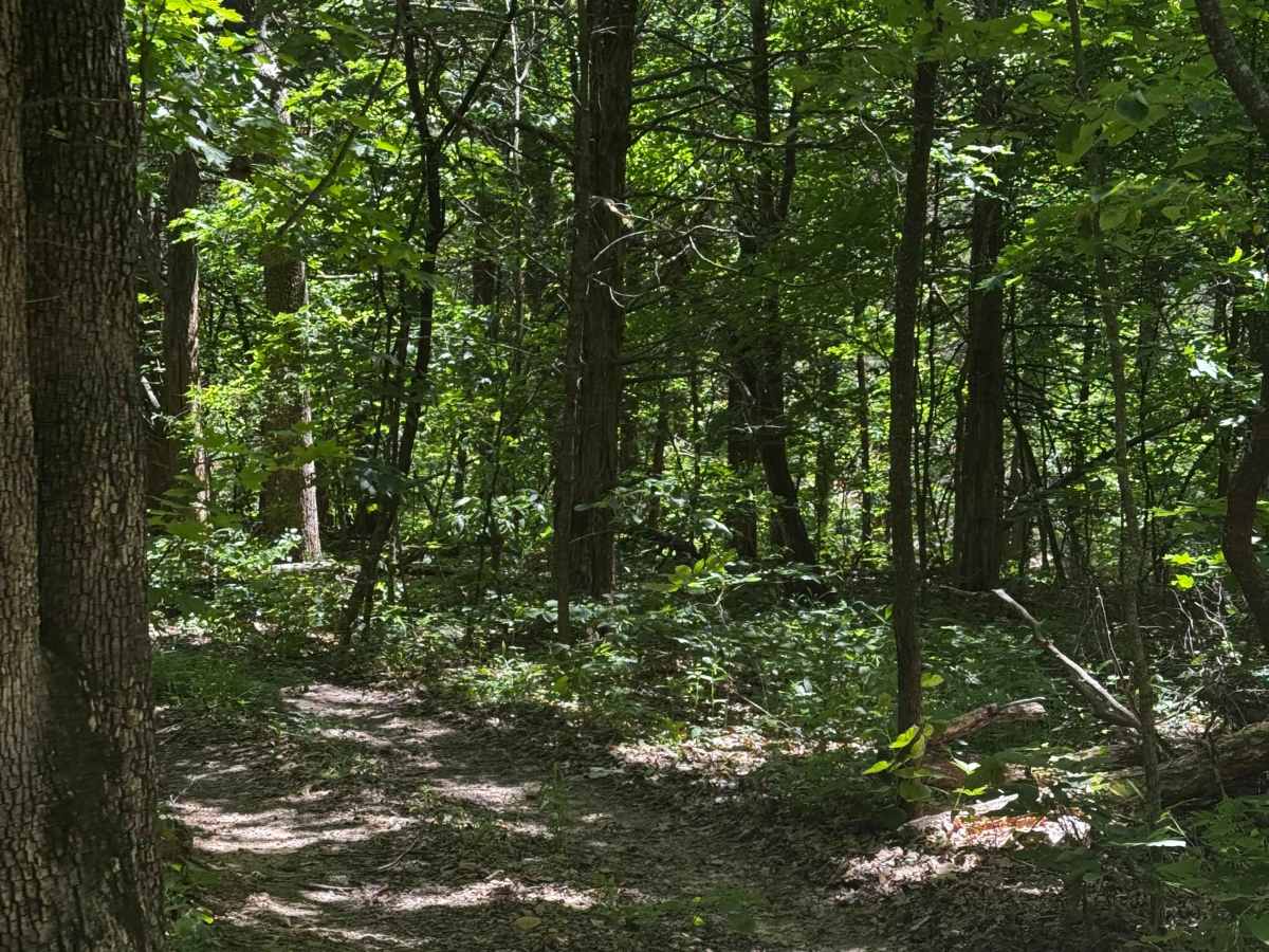 Inner Cut 134 trail photo