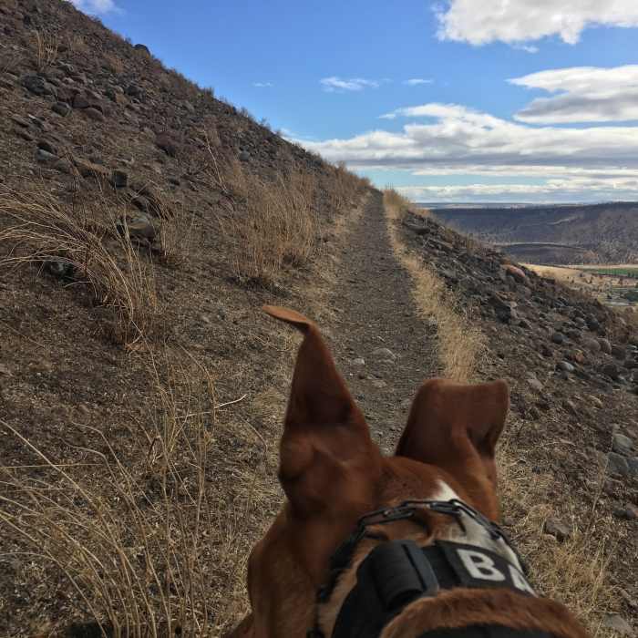 Near Kah-Nee-Ta Tour