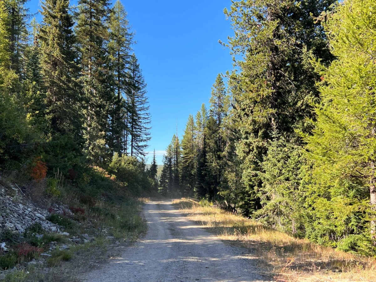 Stevens Ridge photo 3