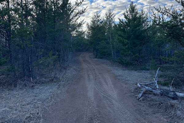 Zalesky Lake Trail