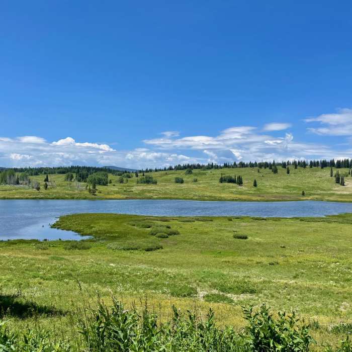 Near Continental Divide Trail: Colorado Section 41
