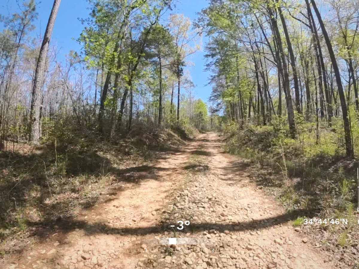 Forest Road 748B photo 4
