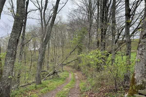 Chestnut Ridge Road