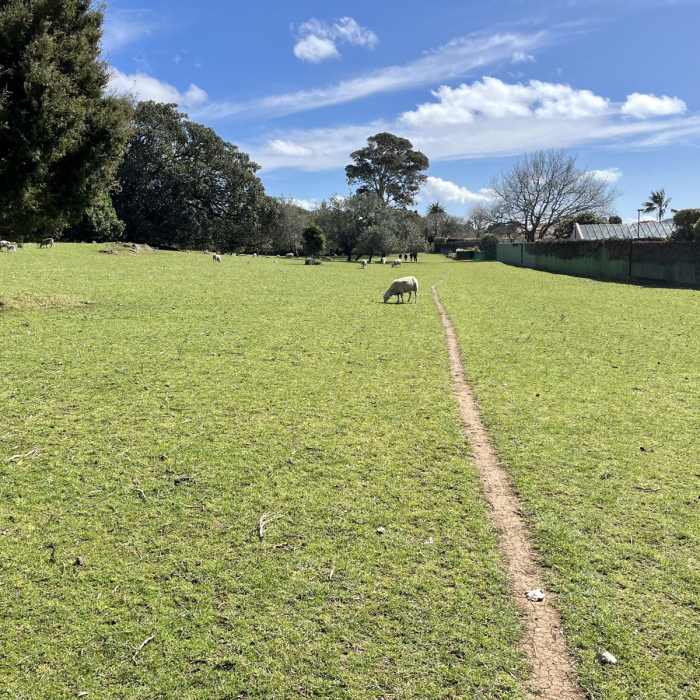 Near Cornwall Park Outer Loop