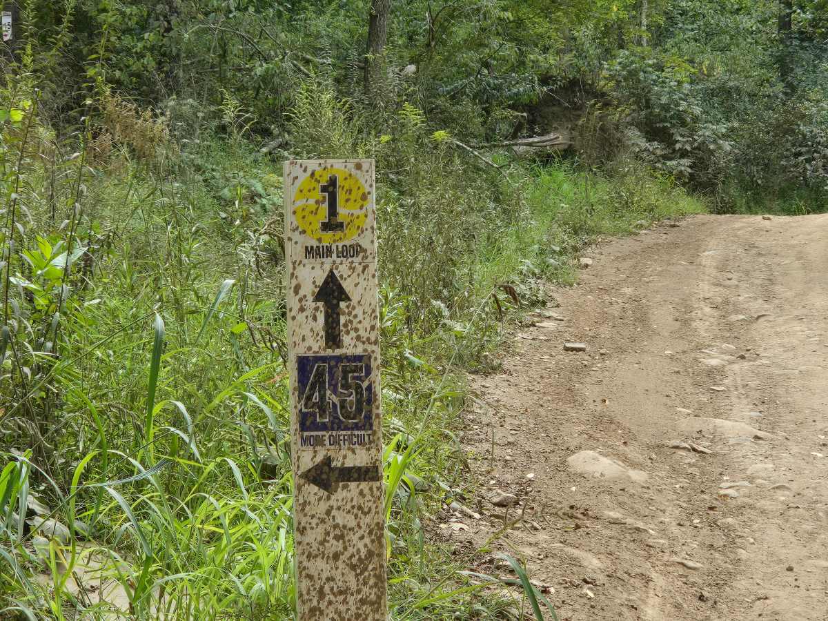 Trail 45 trail photo