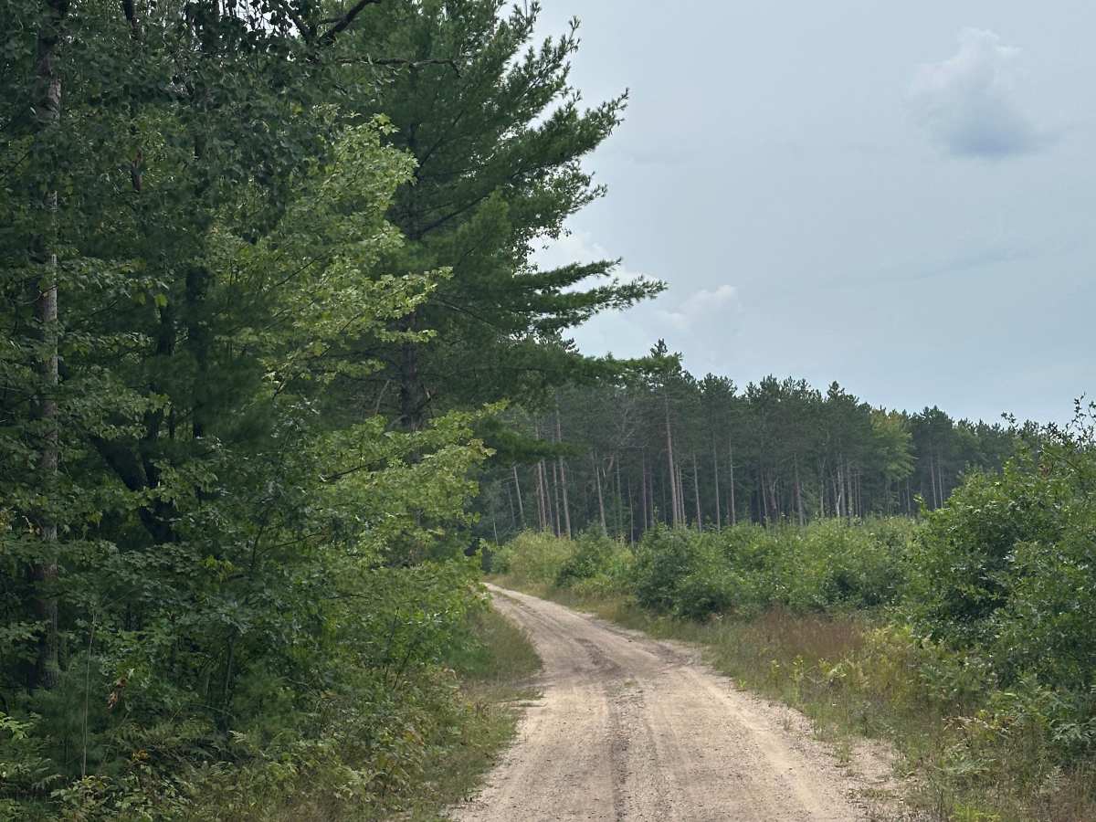 Paddle Trail photo 4