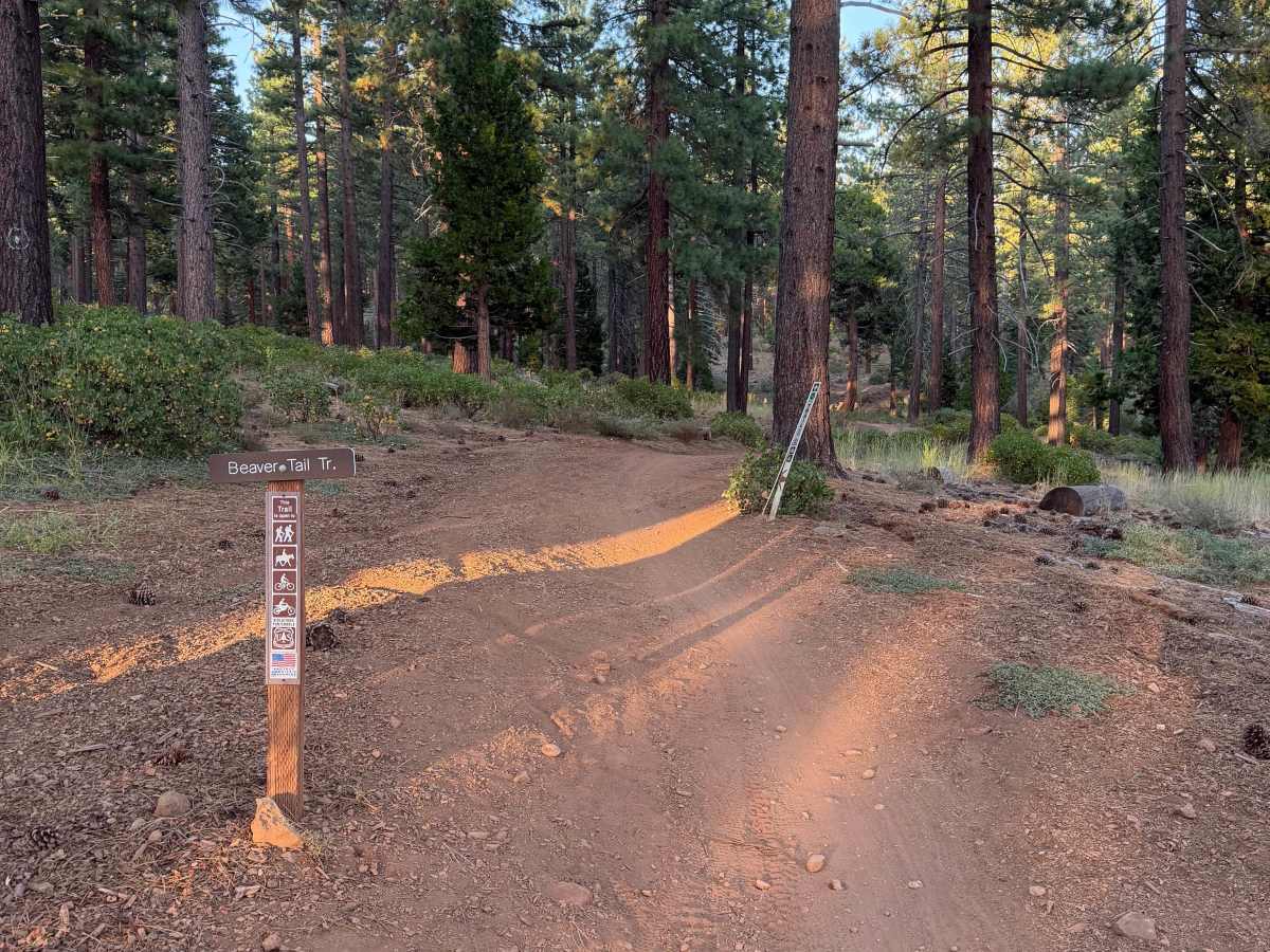 Beaver Tail Trail (Lower) trail photo