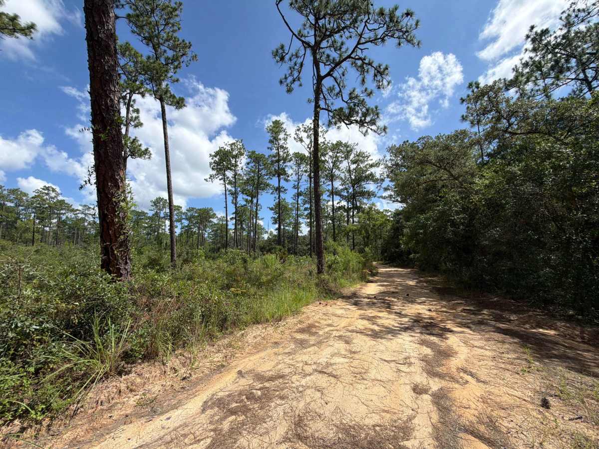 Tomahawk Loop - FS 314A-3.9 photo 5