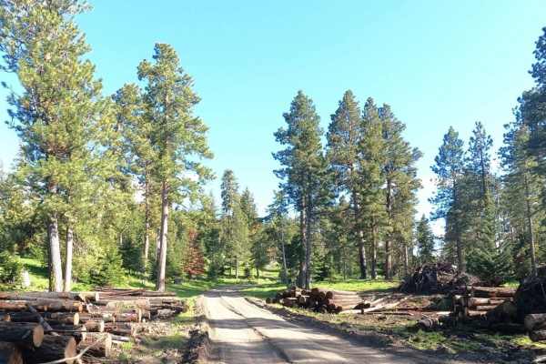Bethel Ridge Road - NF1500